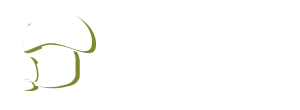 Associação Micológica Fungipedia
